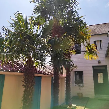 Aux Trois Palmiers Bed & Breakfast